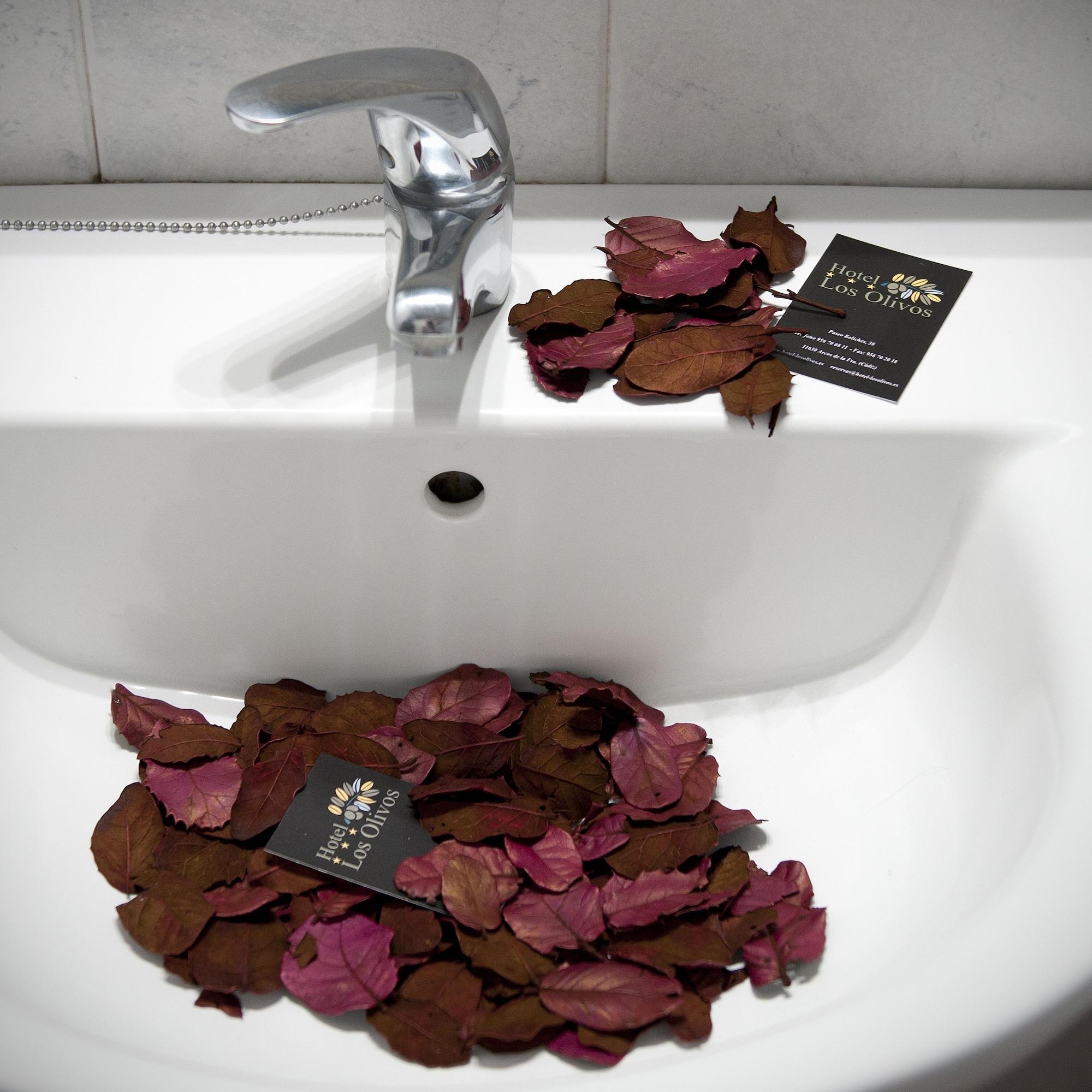 Hotel Los Olivos Arcos de la Frontera Zewnętrze zdjęcie