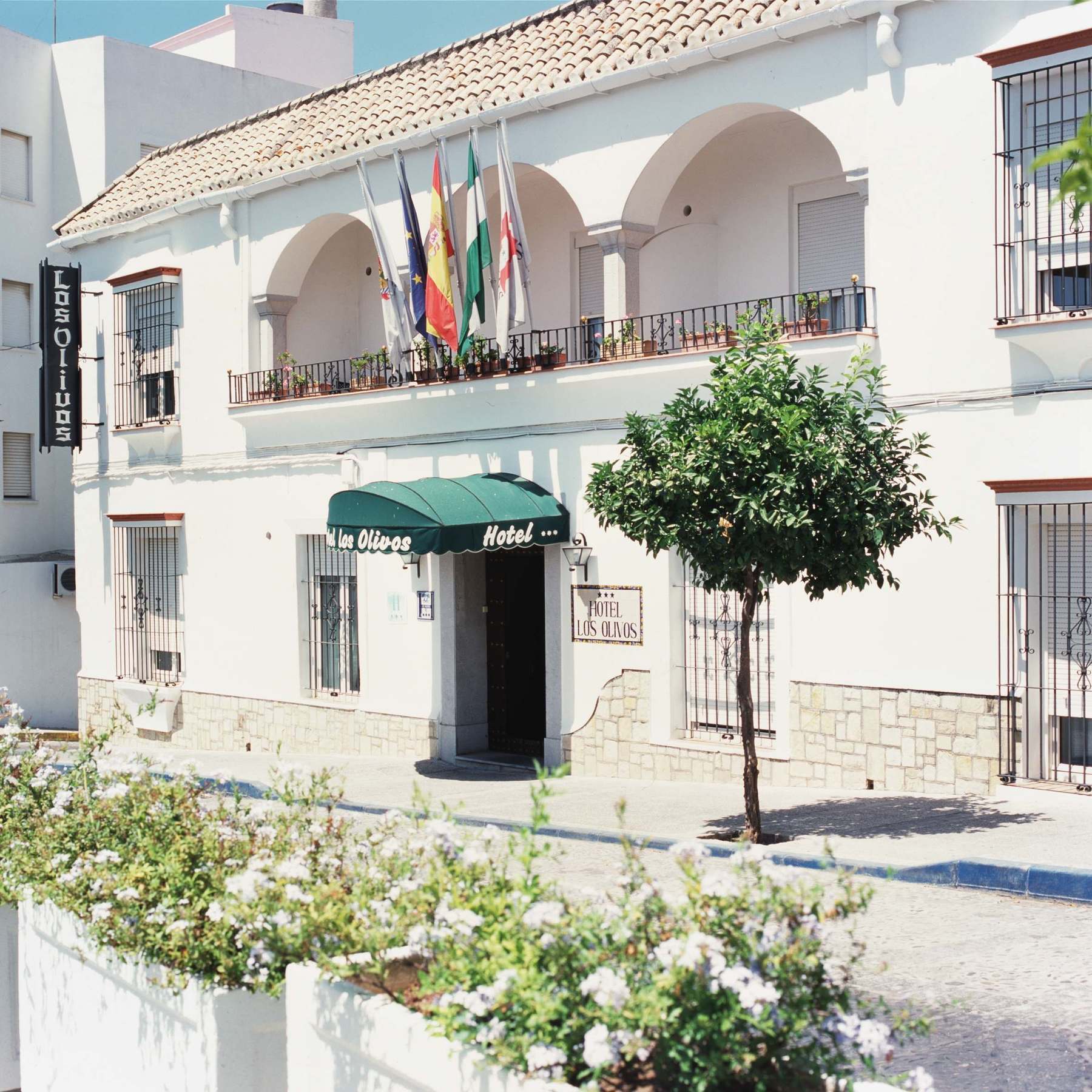 Hotel Los Olivos Arcos de la Frontera Zewnętrze zdjęcie